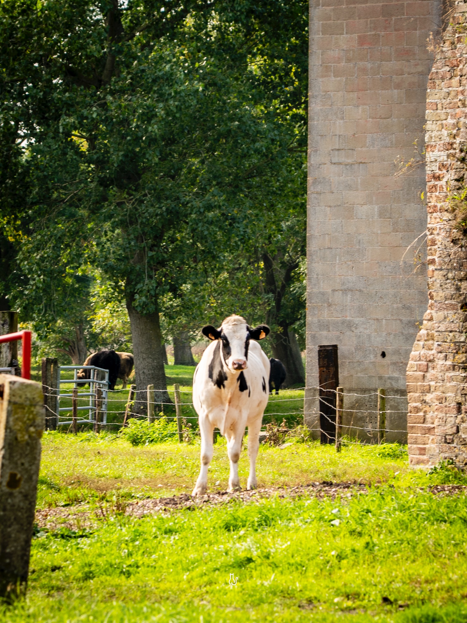 Het witte dorpje foto 68